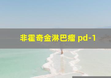 非霍奇金淋巴瘤 pd-1